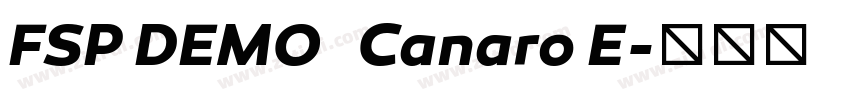 FSP DEMO   Canaro E字体转换